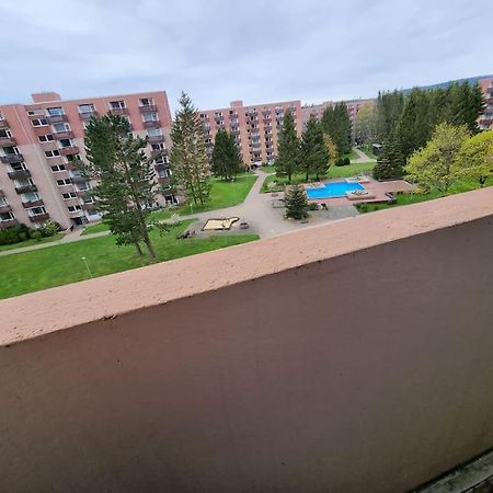 Ferienwohnung Altenau Im Harz, Hunde Buitenkant foto