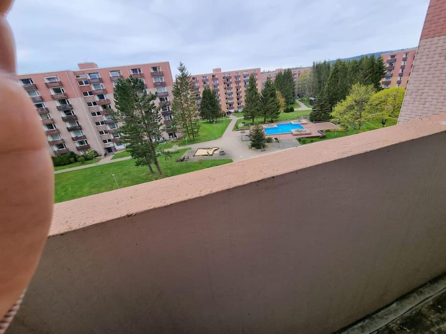 Ferienwohnung Altenau Im Harz, Hunde Buitenkant foto